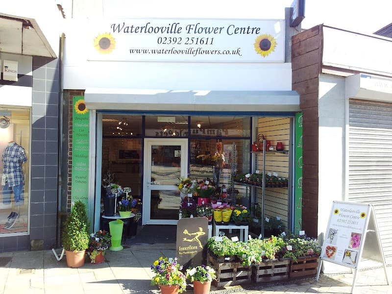 Waterlooville Flower Centre — florists in Horndean