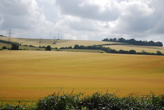 Arable farmland in the countryside around Horndean