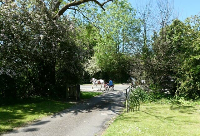 A horse and cart passing Catherington Cemetery, near Horndean