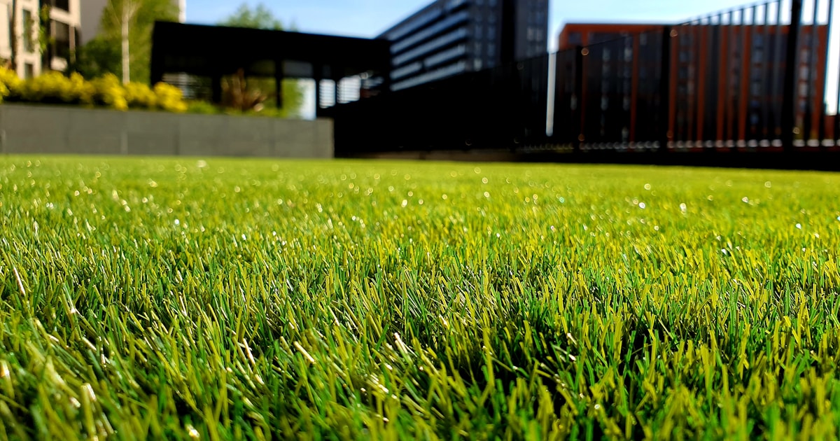 Things to Do in Horndean: Activities, Attractions & Days Out